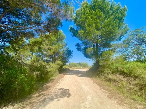 Playamonte Canal De Navarrés tomt foto 6236735