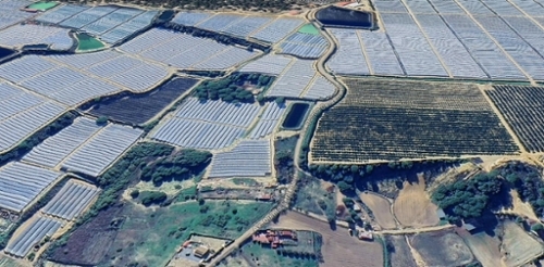 Poblado Forestal Metropolitana De Huelva tomt foto 6254083