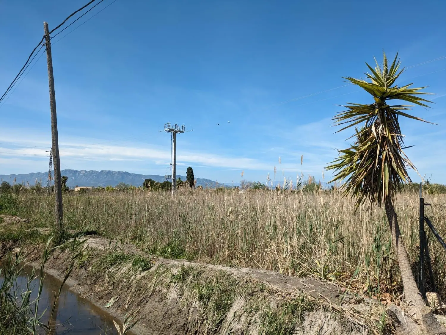 till salu tomt Poblenou Del Delta Montsià 2