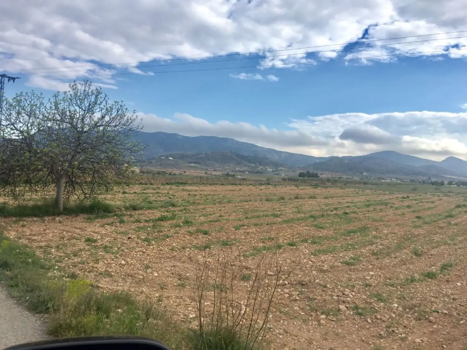 till salu tomt El Rebalso Vinalopó Mitjà 2