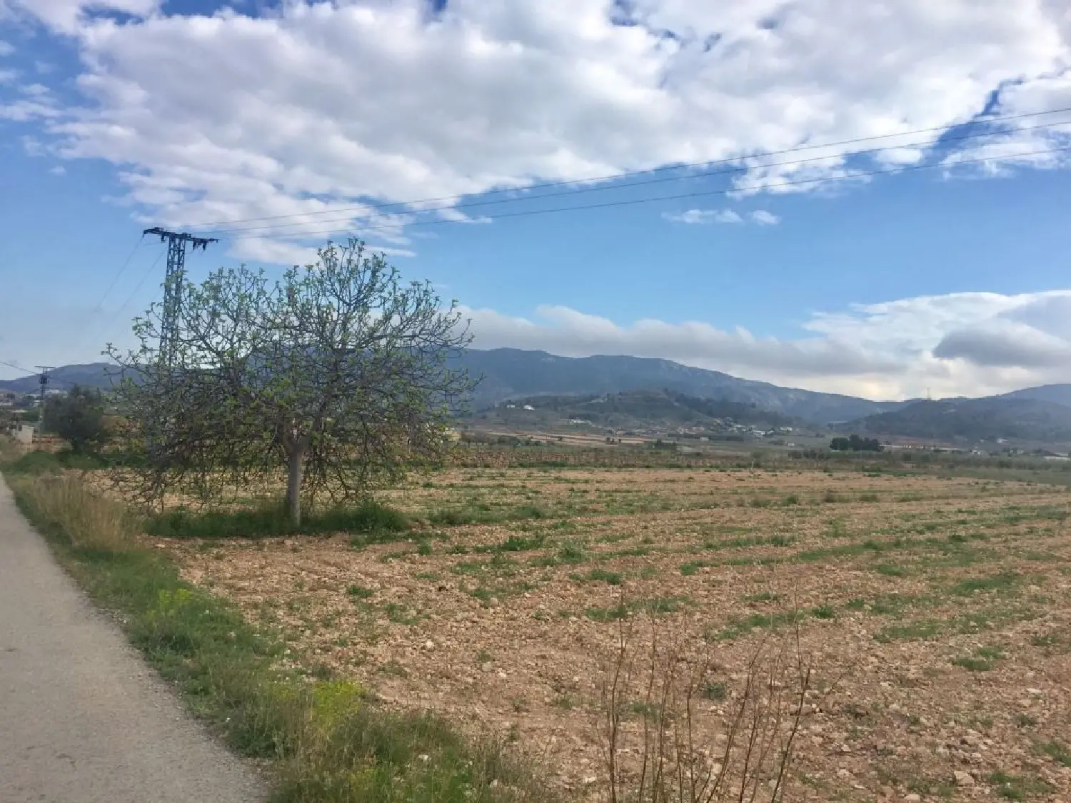 till salu tomt El Rebalso Vinalopó Mitjà 3