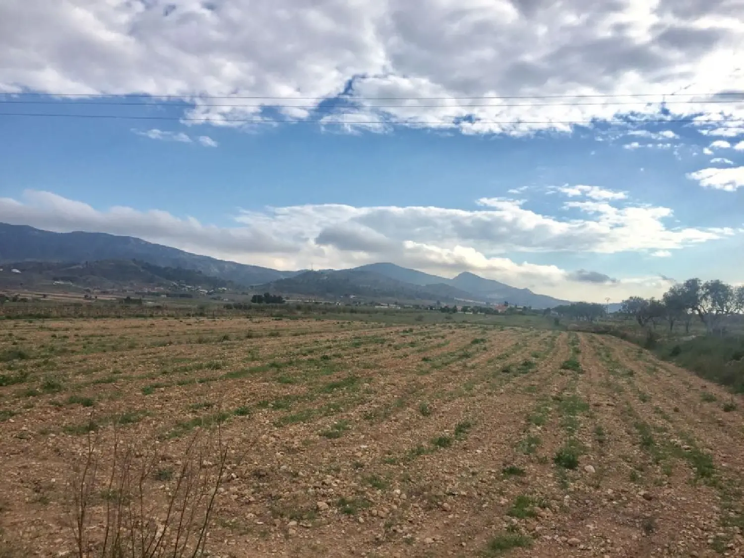  till salu tomt El Rebalso Vinalopó Mitjà 1