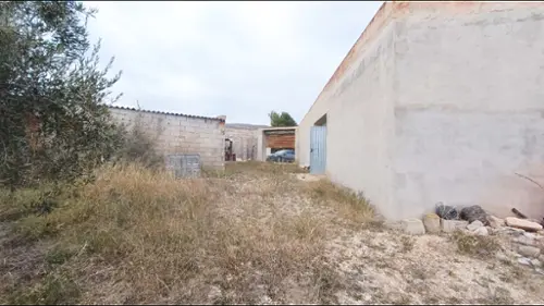 El Rebalso Vinalopó Mitjà tomt foto 6190541