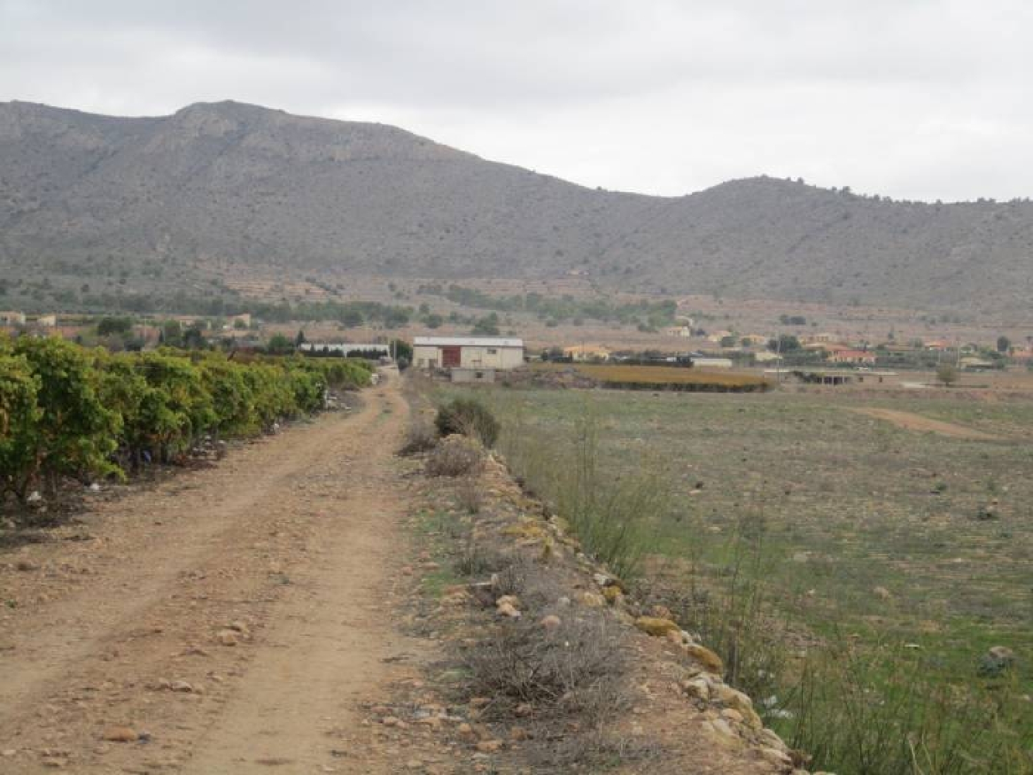 till salu tomt Bayón Vinalopó Mitjà 3