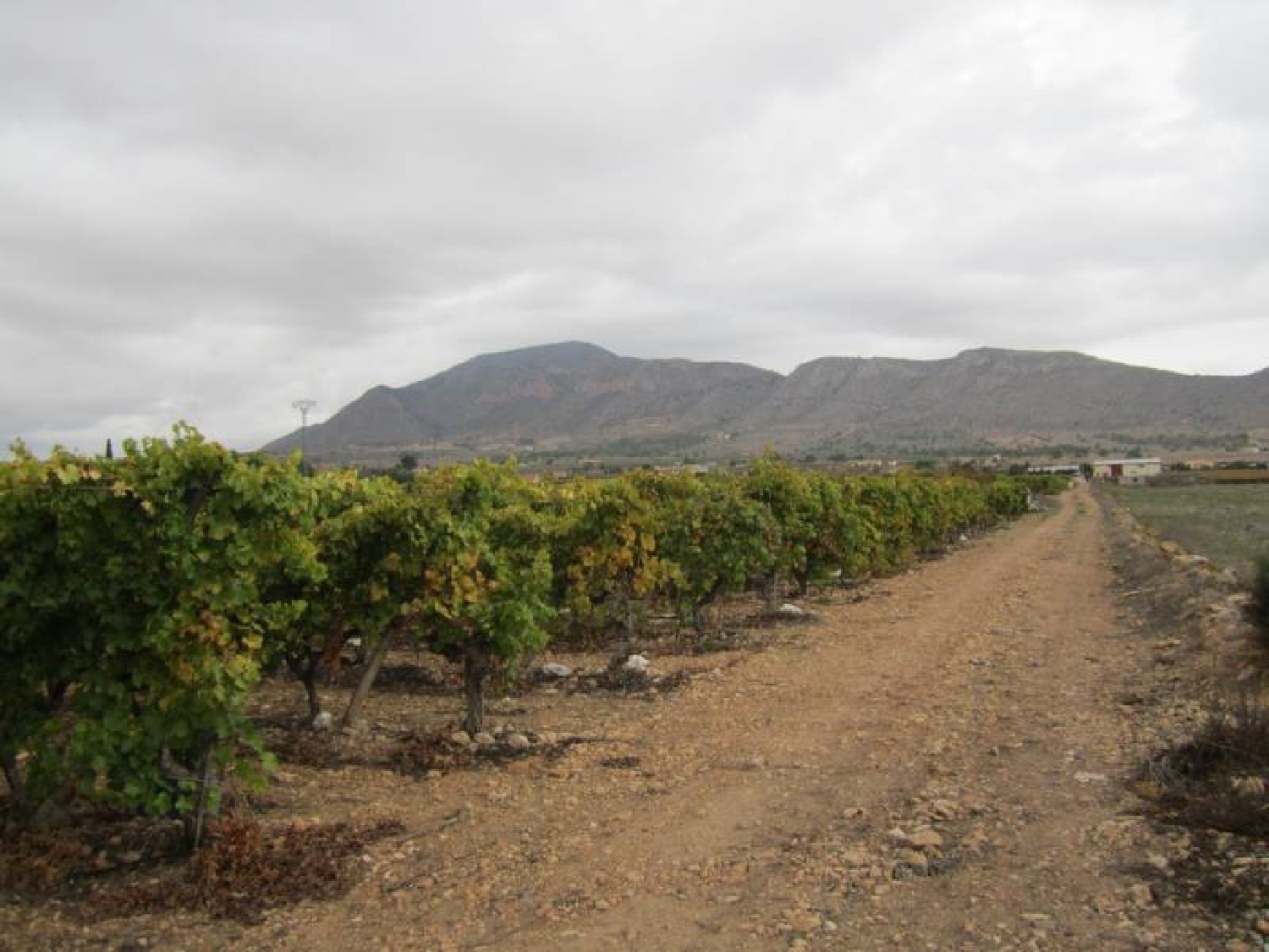  till salu tomt Bayón Vinalopó Mitjà 6