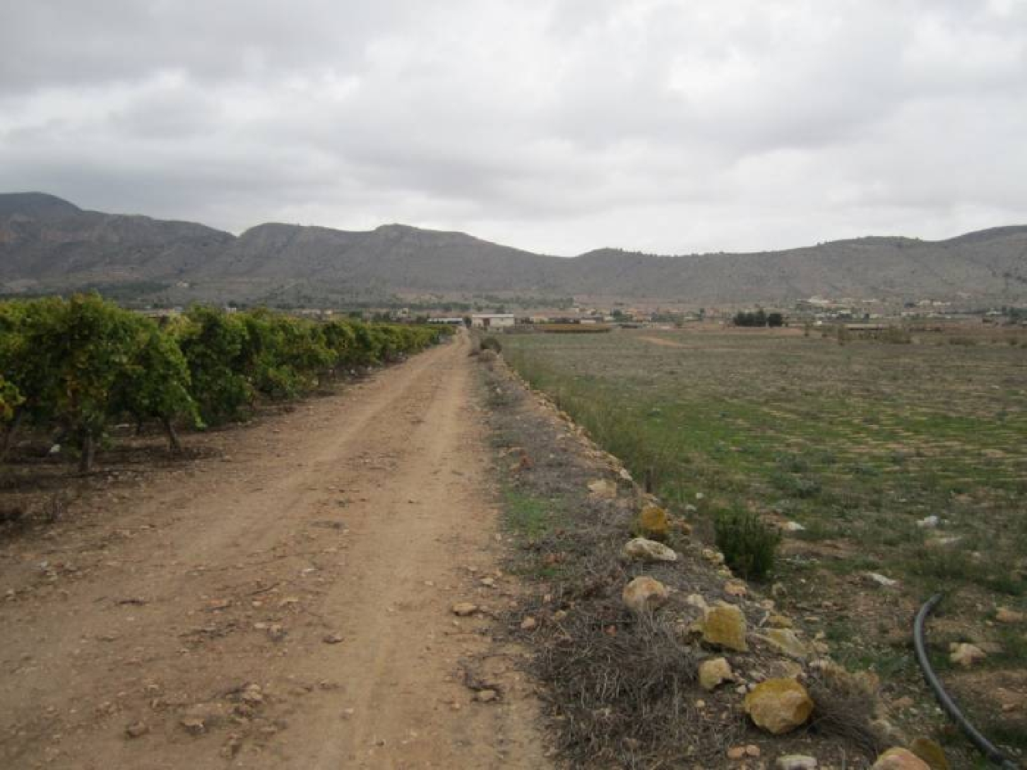 till salu tomt Bayón Vinalopó Mitjà 2