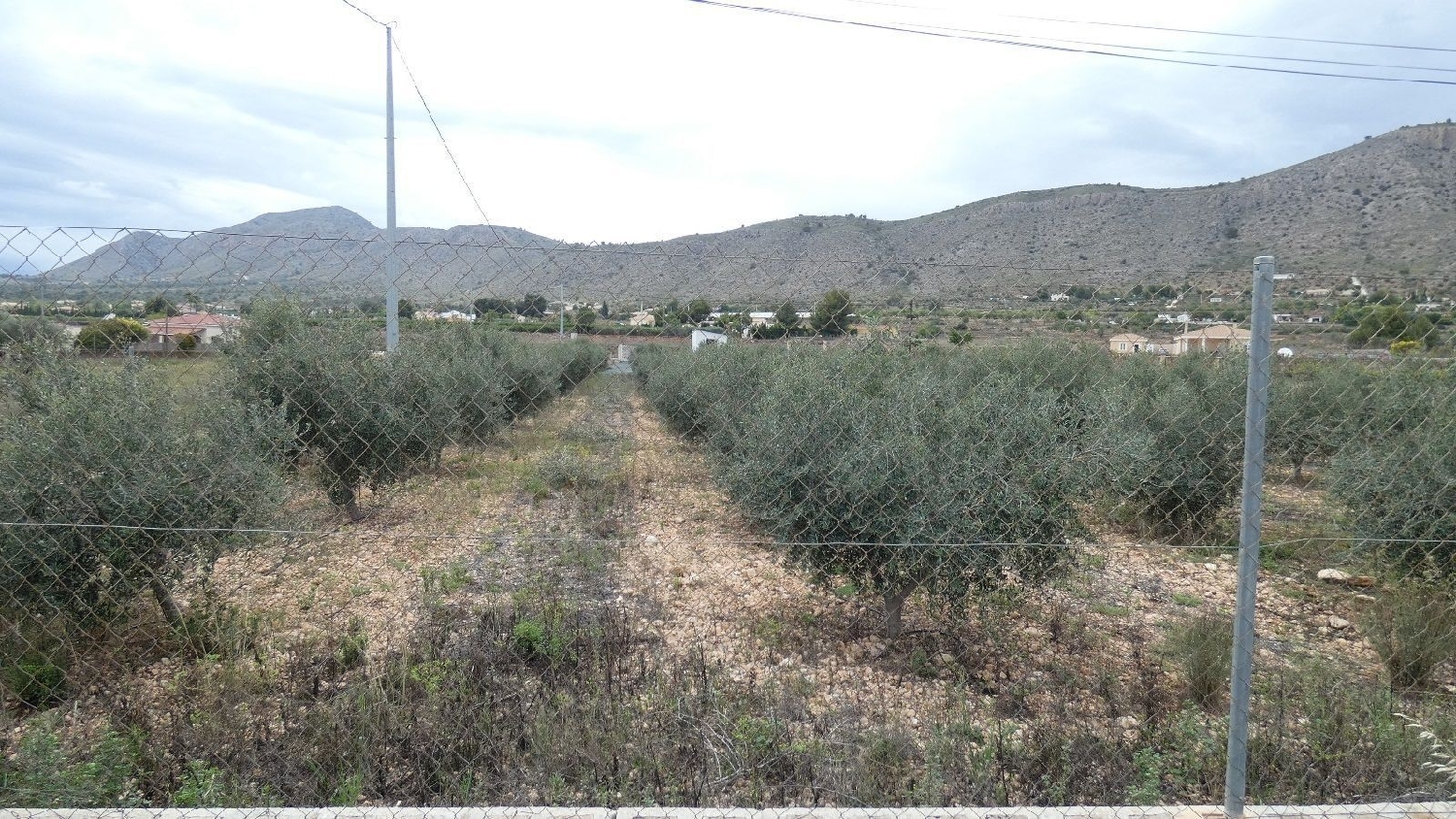  till salu tomt Hondón De Las Nieves Vinalopó Mitjà 7