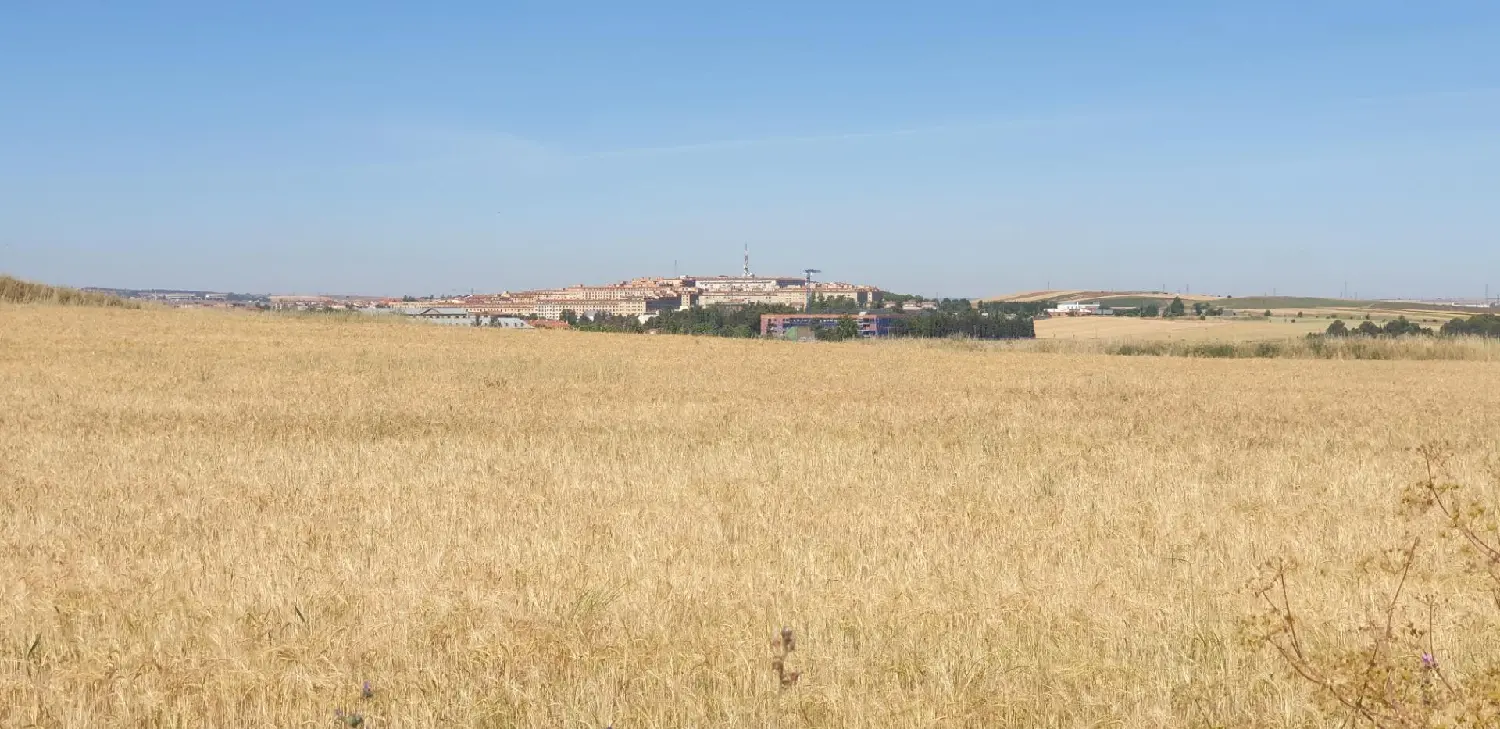  till salu tomt El Helmántico Armuña (La) 1