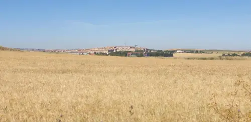 El Helmántico Armuña (La) tomt foto 6193316