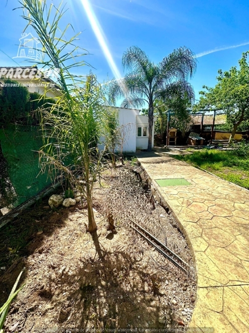 Poniente Córdoba tomt foto 6244111