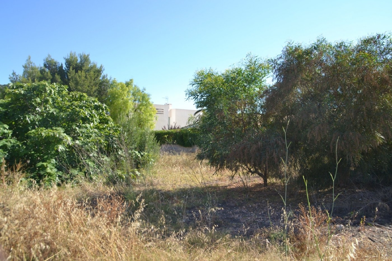  en venta terreno Port D'andratx Ponent 6