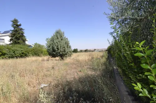 Torrecilla De Miranda Campo De Salamanca tomt foto 6192757