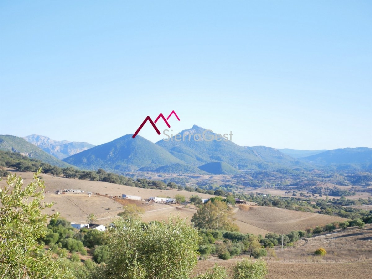  till salu tomt Prado Del Rey Sierra De Cádiz 1