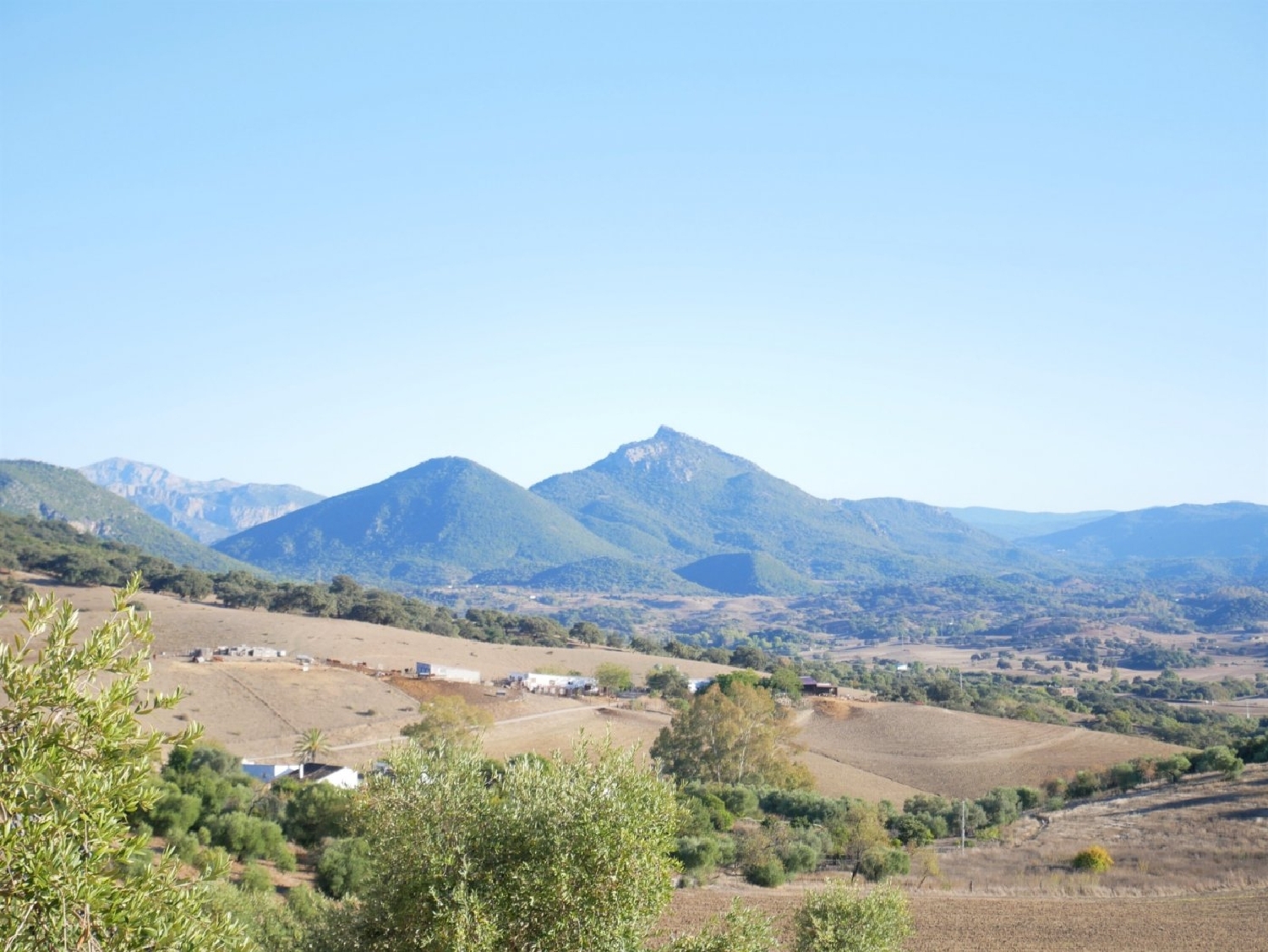  till salu tomt Prado Del Rey Sierra De Cádiz 1