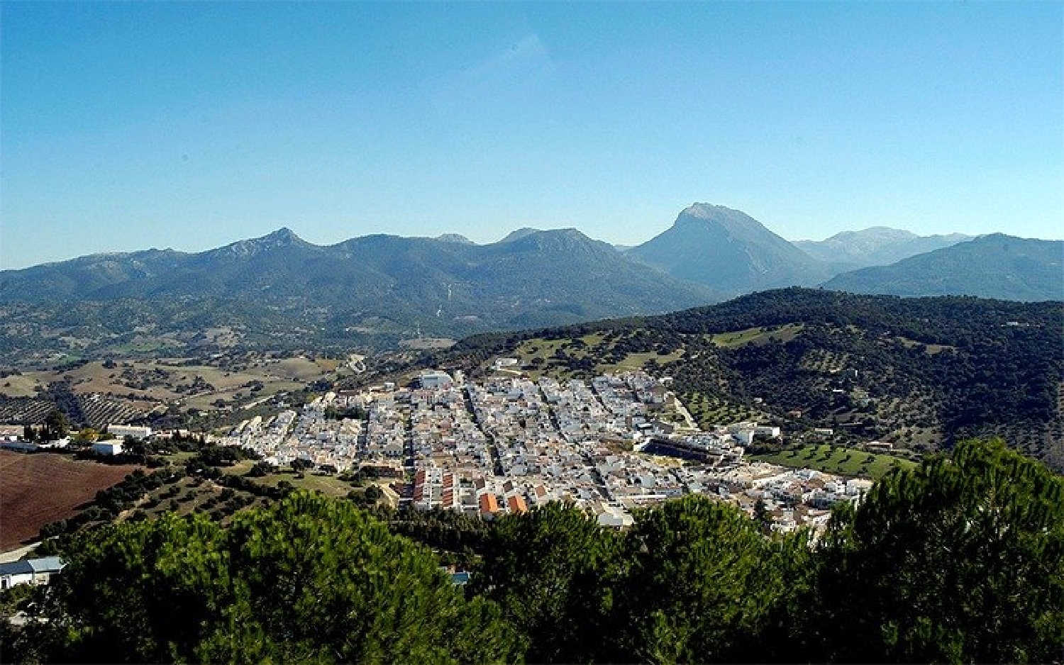 till salu tomt Prado Del Rey Sierra De Cádiz 2