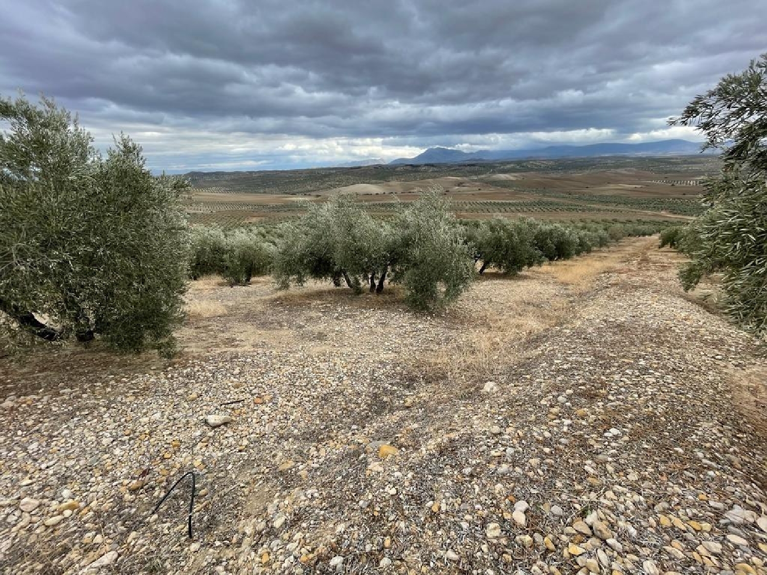  till salu tomt Otiñar Metropolitana De Jaén 4