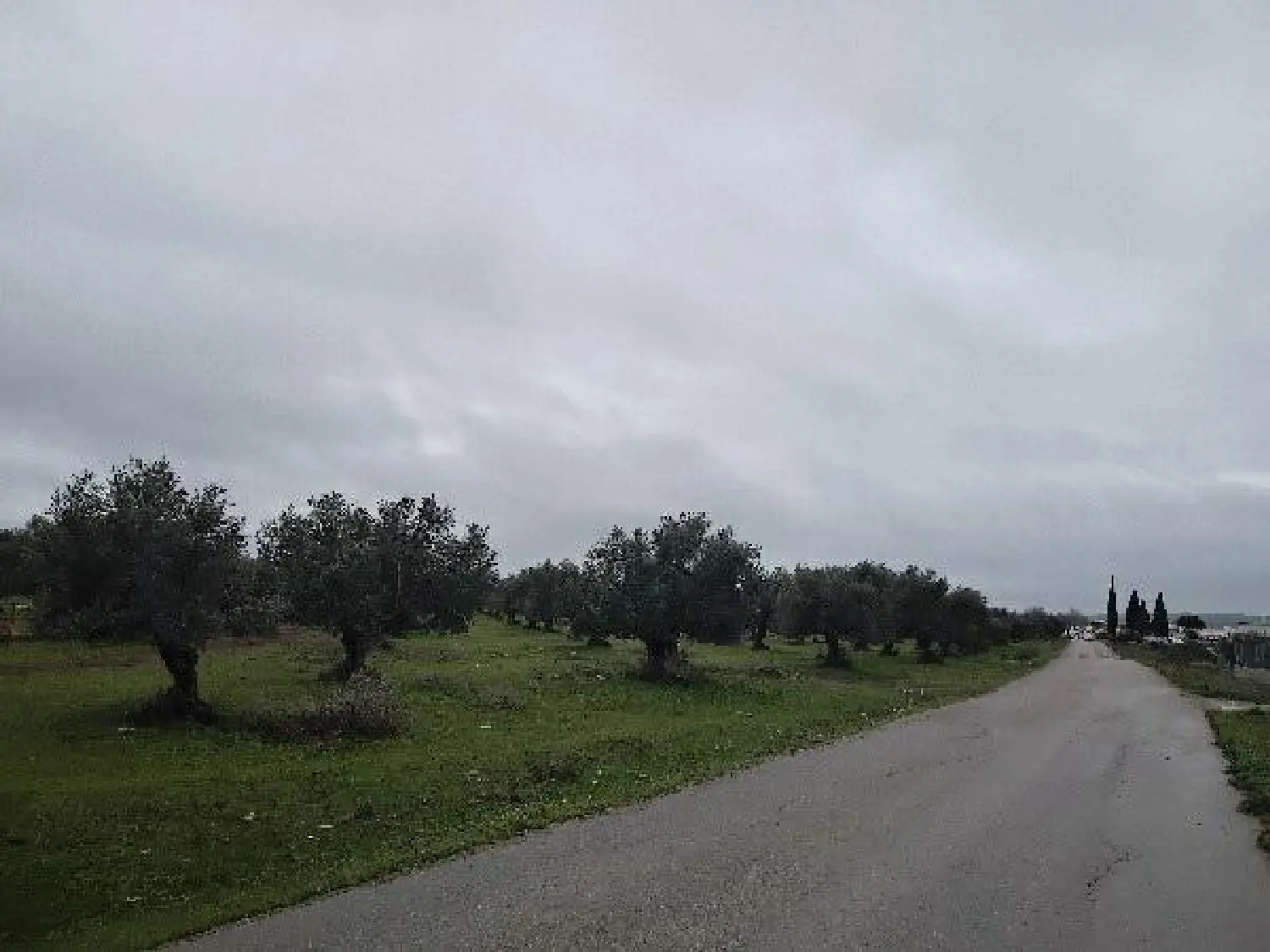  till salu tomt Pozo Amargo Sierra De Cádiz 4