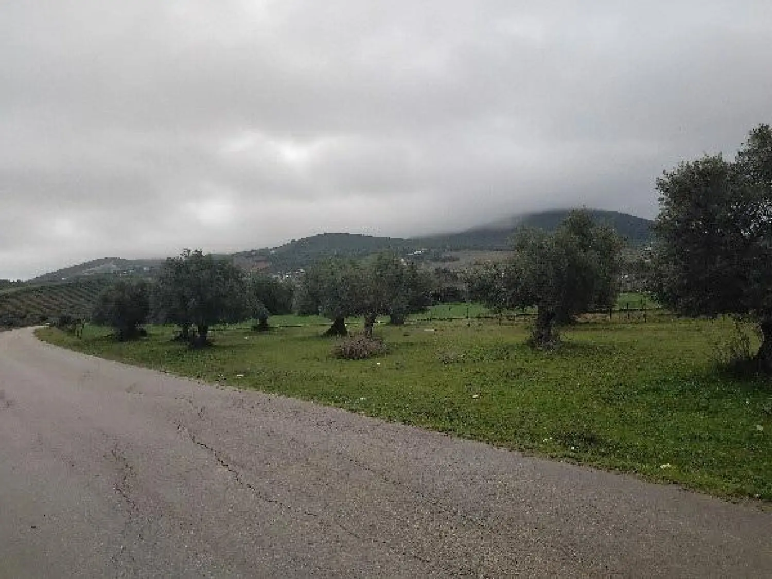 till salu tomt Pozo Amargo Sierra De Cádiz 2
