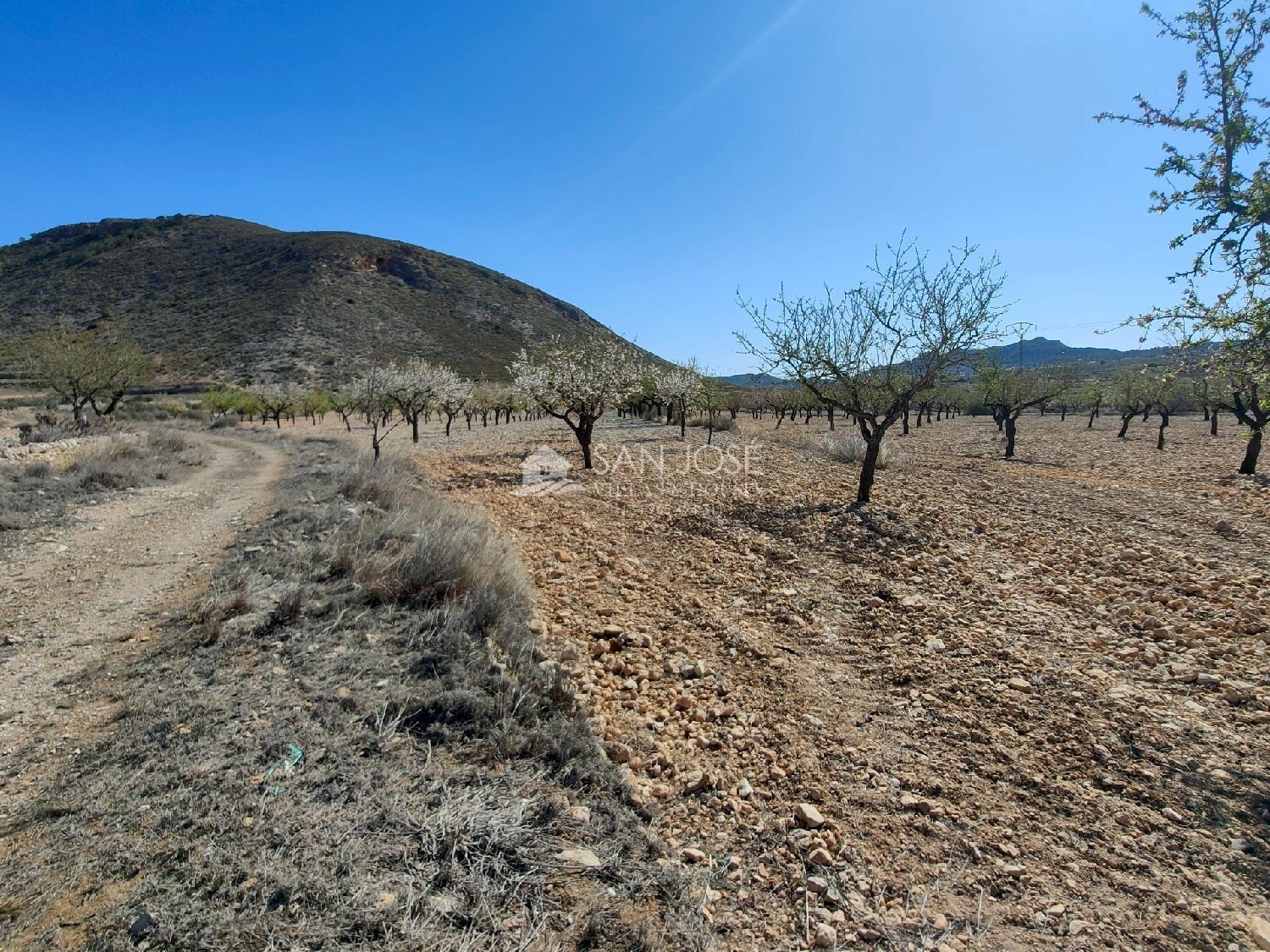  till salu tomt Raiguero De Bonanza Baix Segura 7