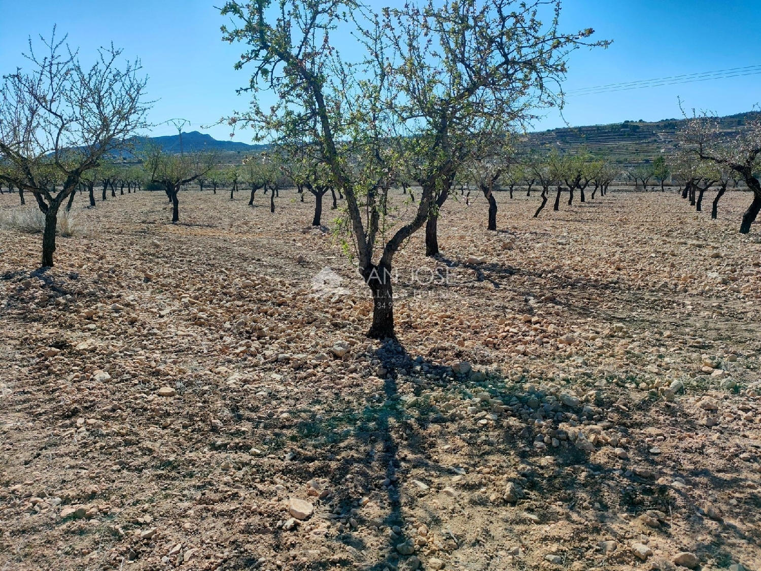  till salu tomt Raiguero De Bonanza Baix Segura 6