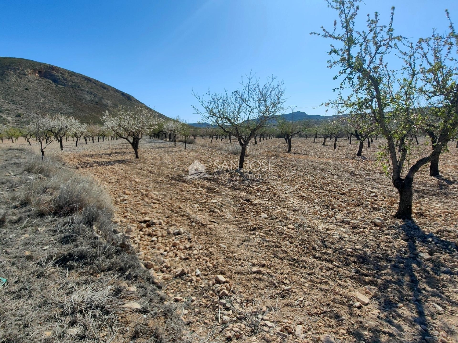  till salu tomt Raiguero De Bonanza Baix Segura 8