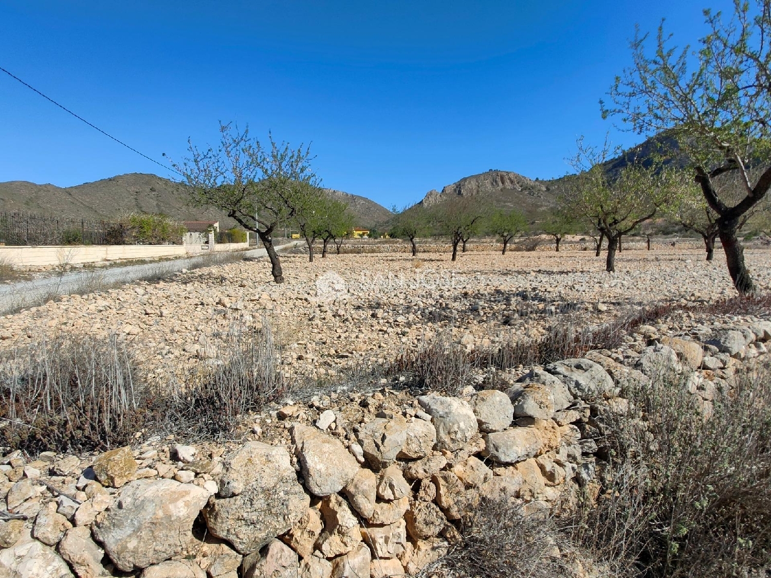 till salu tomt Raiguero De Bonanza Baix Segura 3