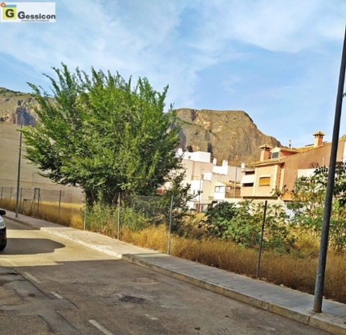 Raiguero Poniente Baix Segura tomt foto 6252426