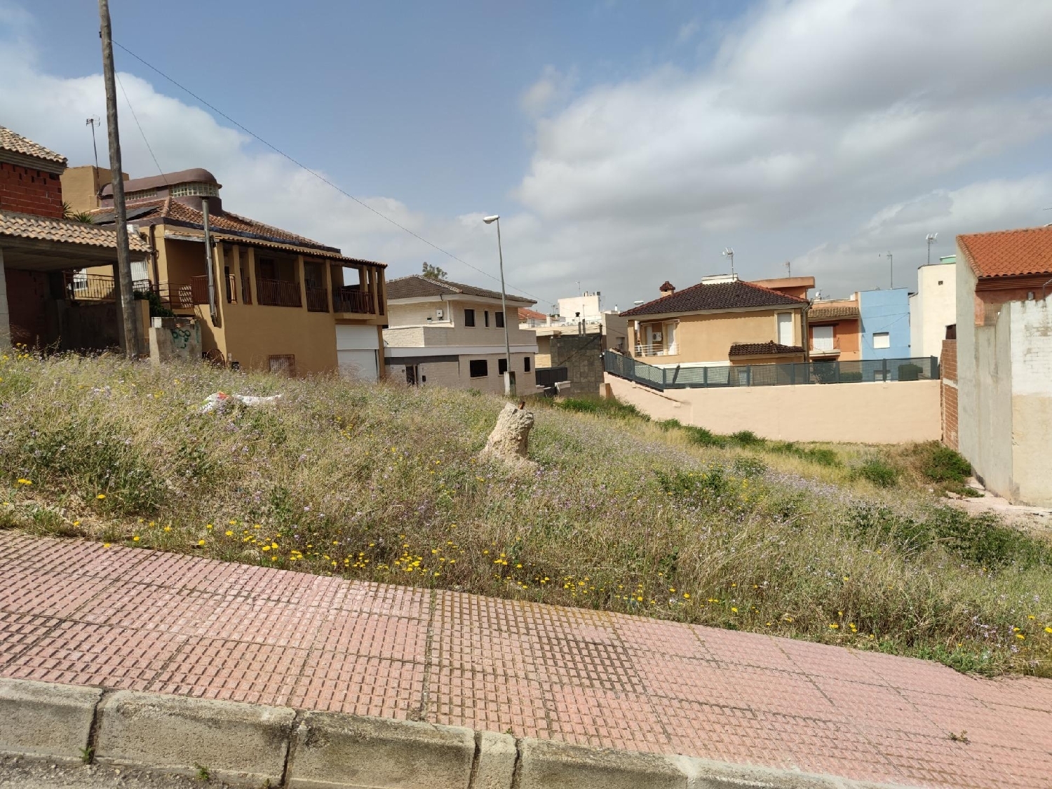  for sale plot Ribera De Arriba Vega Media Del Segura 5