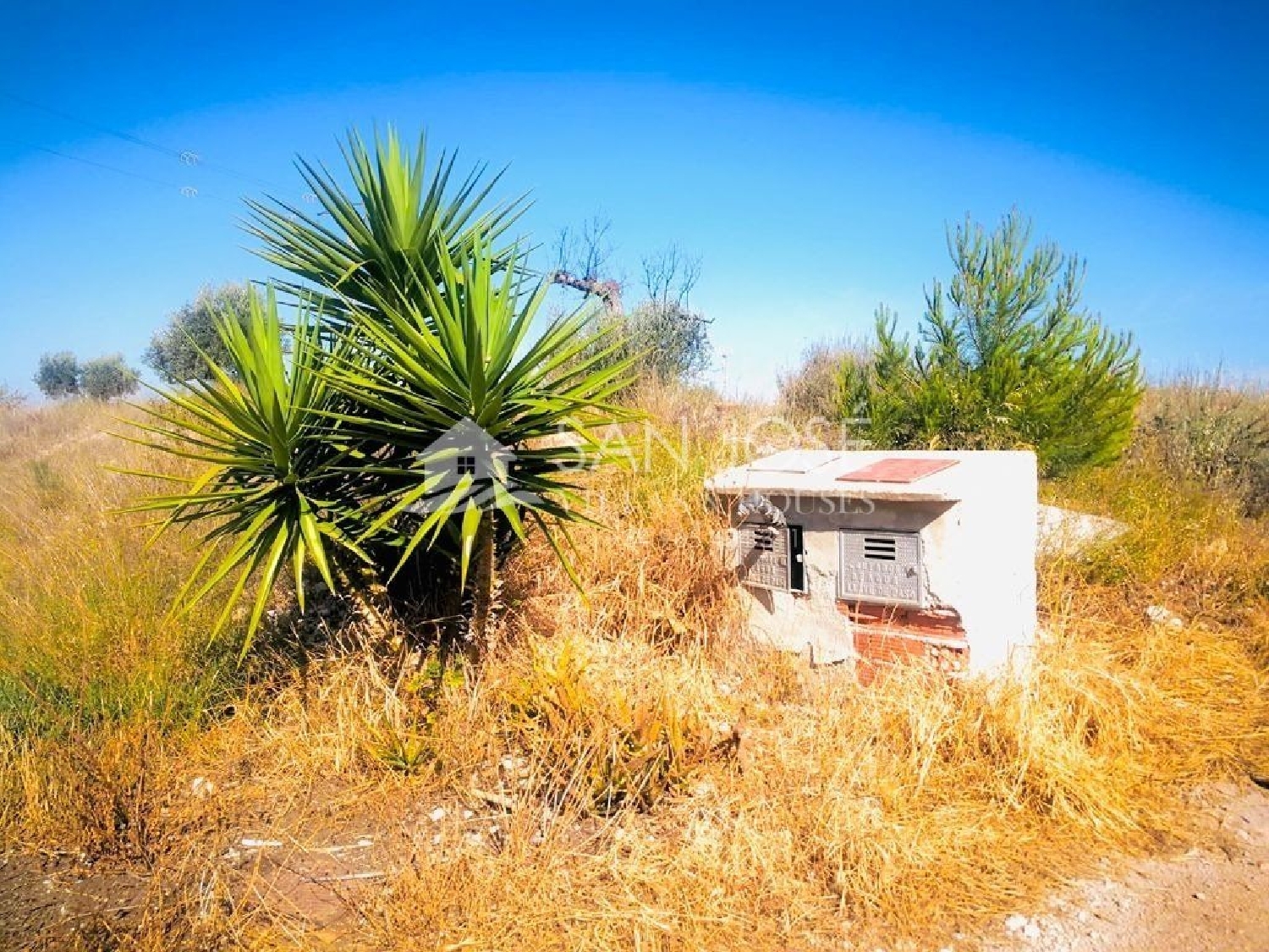 till salu tomt Rincón De Las Delicias Vega Media Del Segura 2