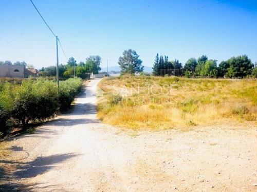 Rincón De Las Delicias Vega Media Del Segura tomt foto 6227140
