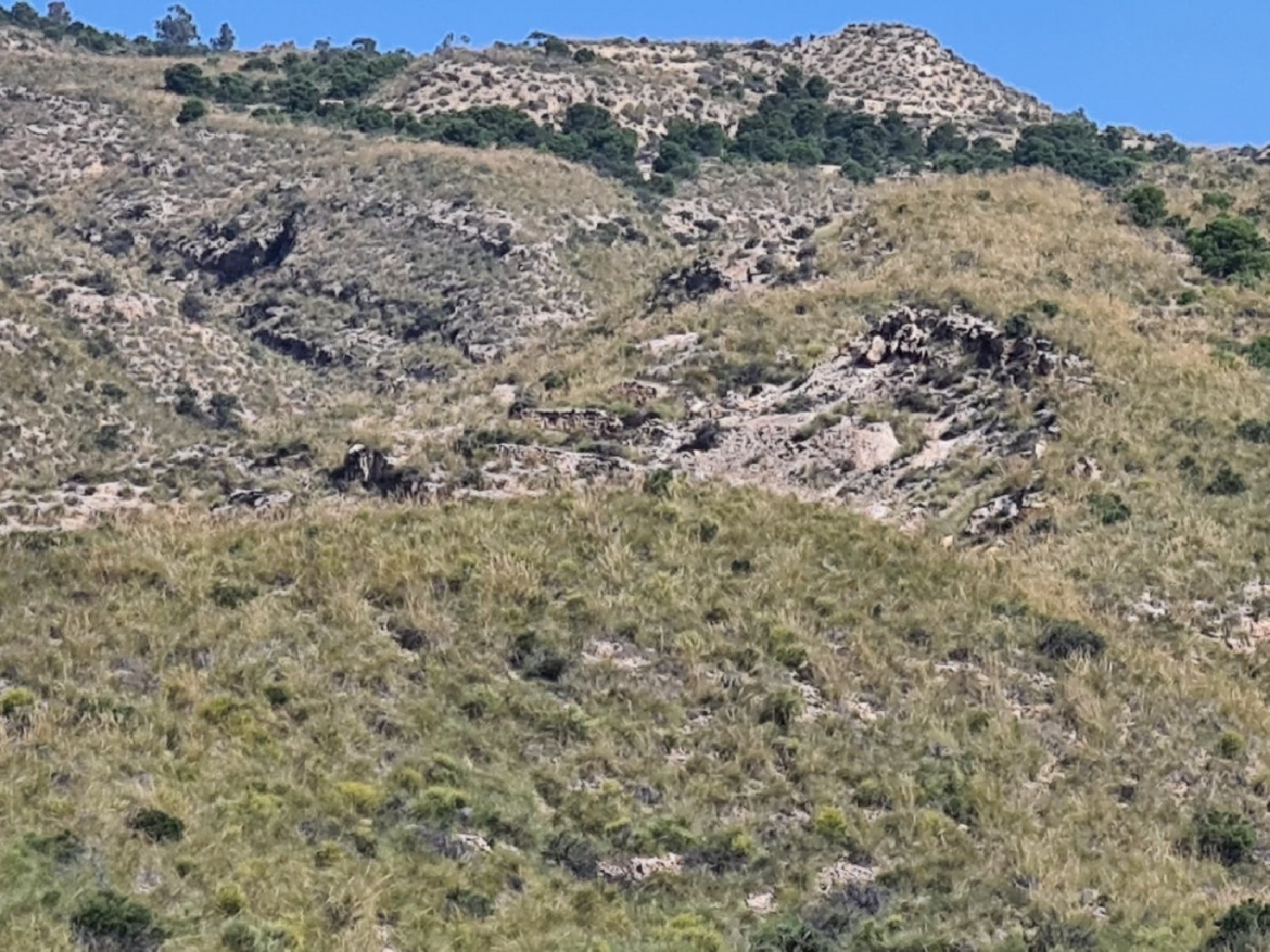  te koop perceel Rincón De Los Pablos Baix Vinalopó 8
