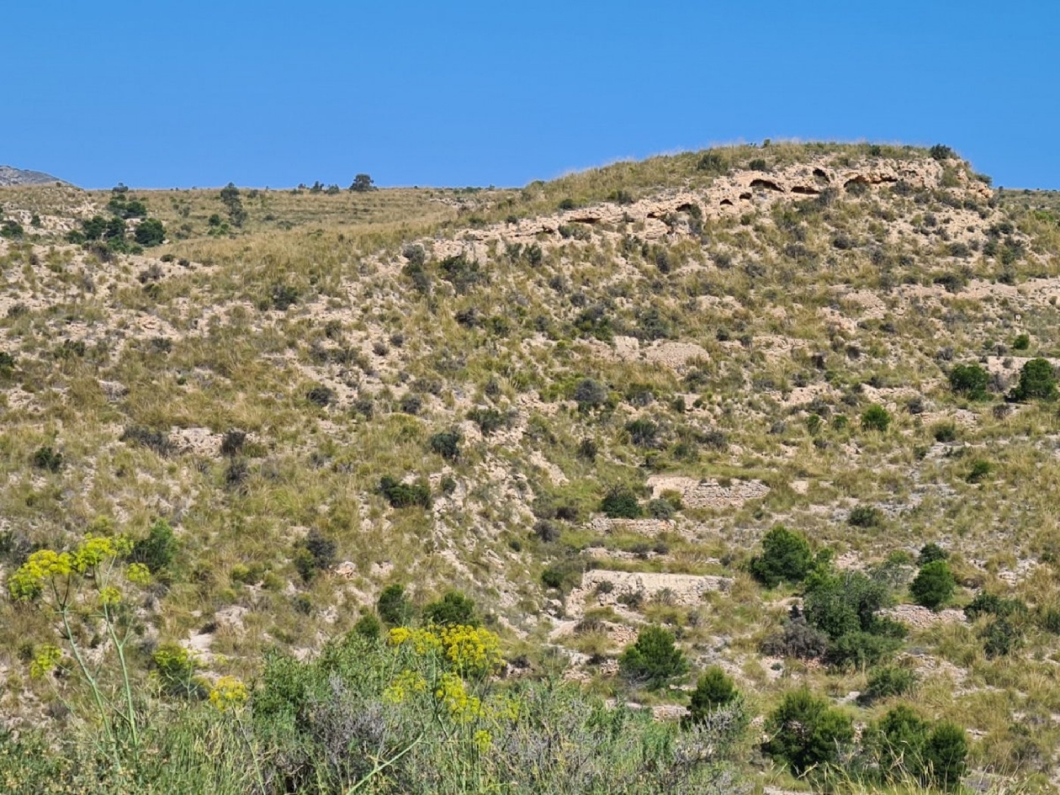  te koop perceel Rincón De Los Pablos Baix Vinalopó 6