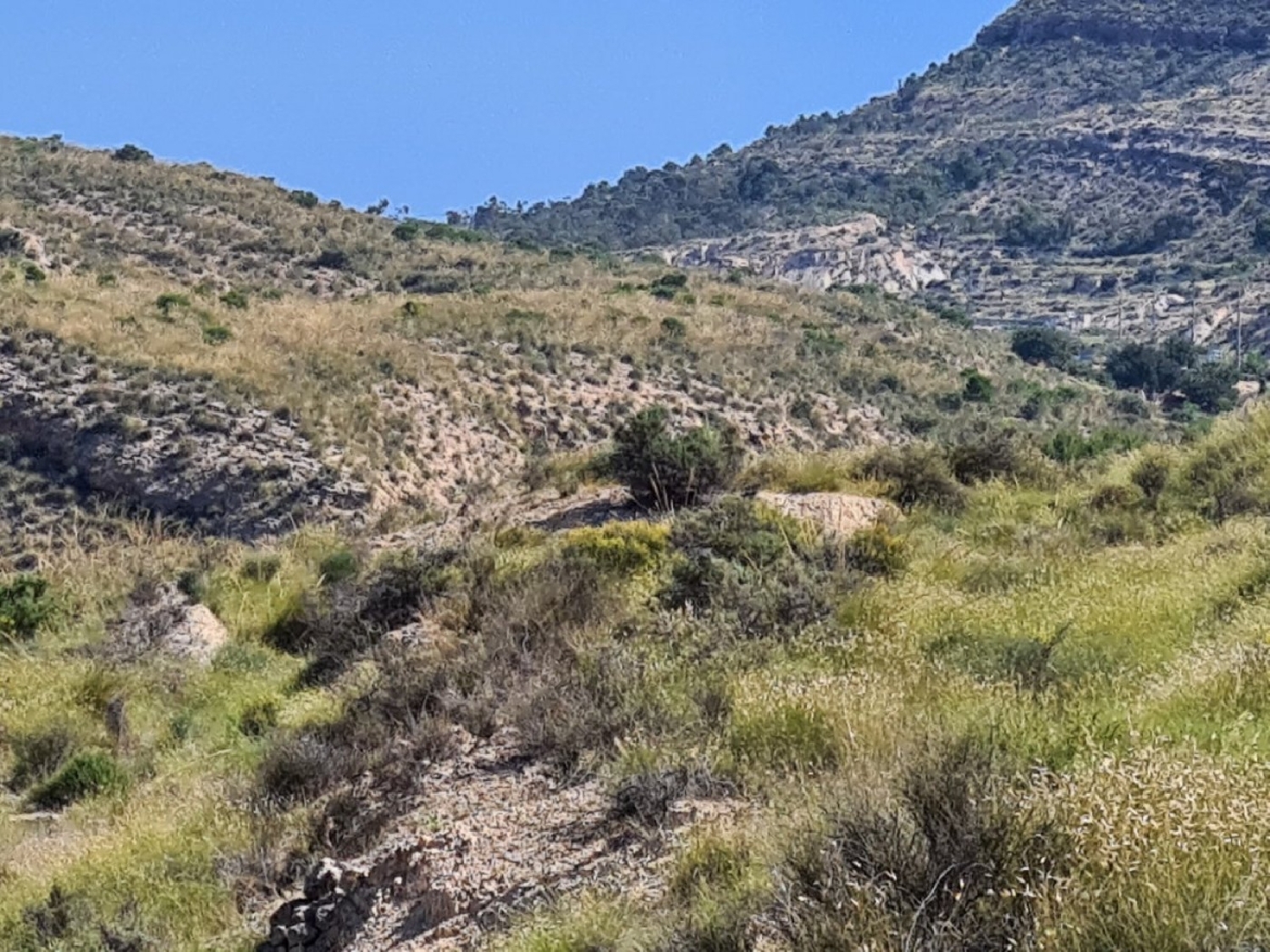 te koop perceel Rincón De Los Pablos Baix Vinalopó 3