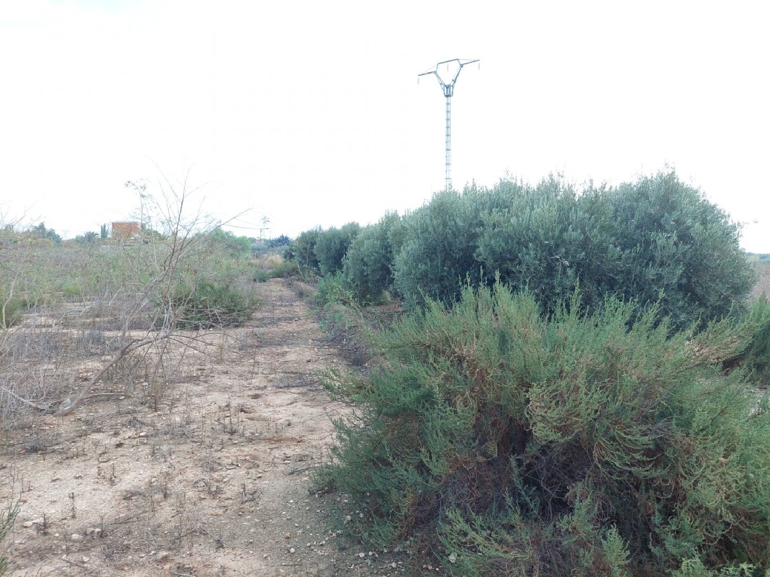 till salu tomt Rincón De Los Pablos Baix Vinalopó 2
