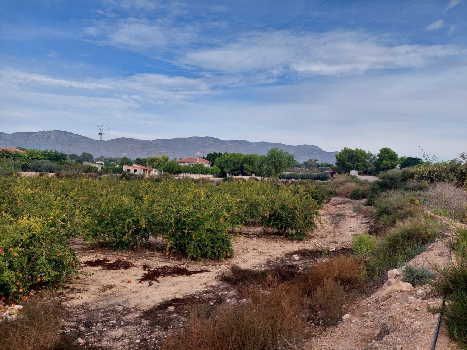  till salu tomt Rincón De Los Pablos Baix Vinalopó 4