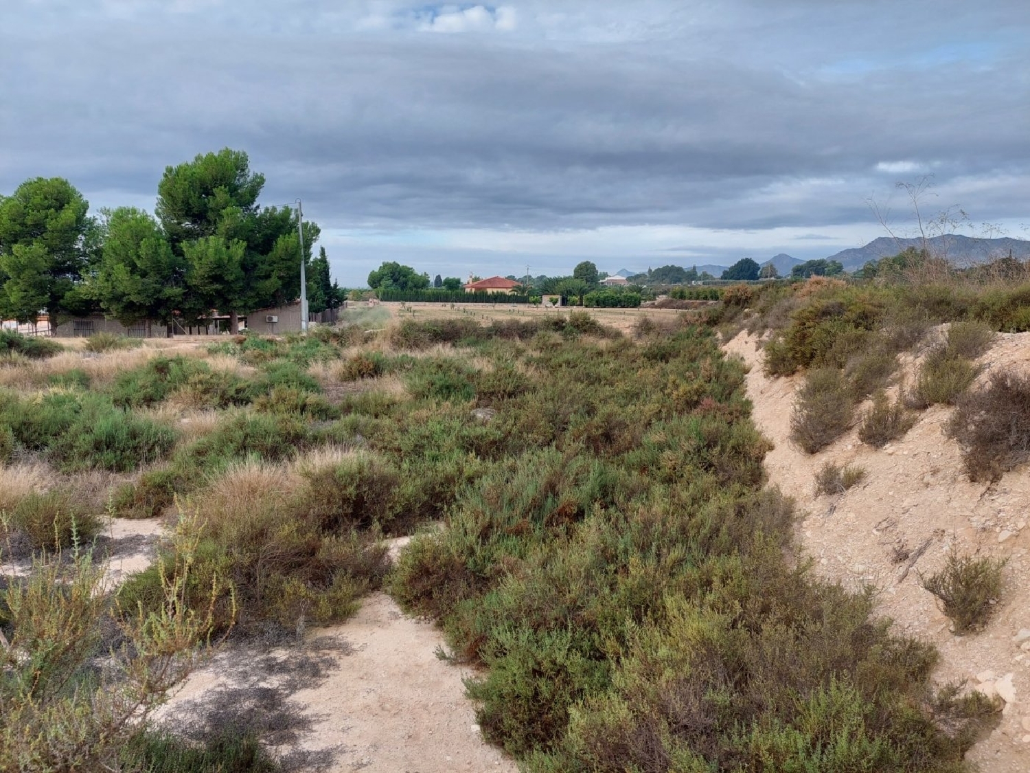till salu tomt Rincón De Los Pablos Baix Vinalopó 3