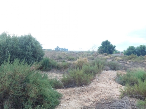 Rincón De Los Pablos Baix Vinalopó tomt foto 6256315