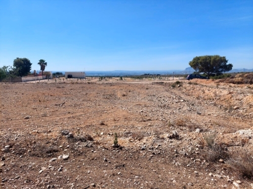 Rincón De Los Pablos Baix Vinalopó tomt foto 6256331