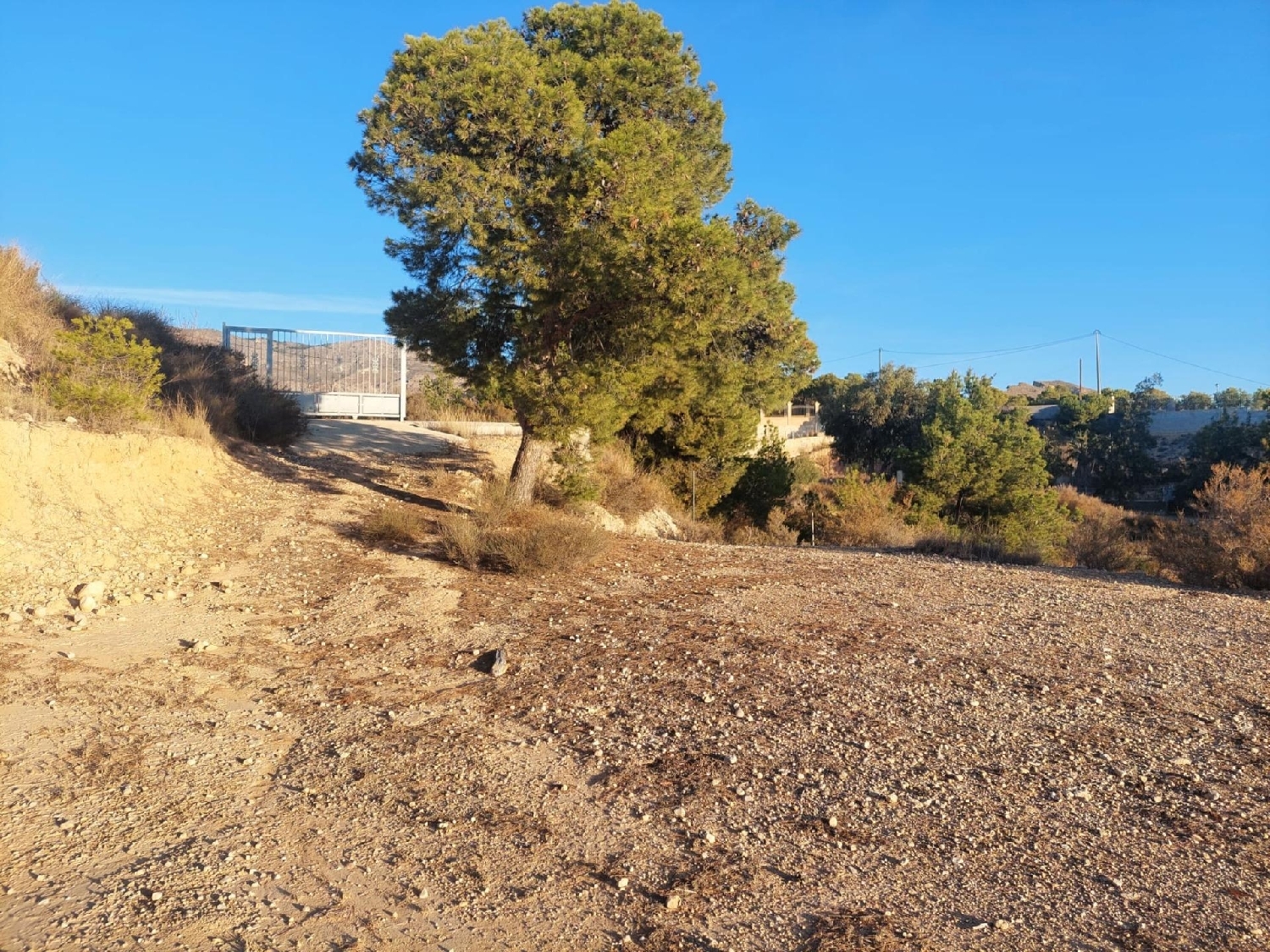  till salu tomt Rincón De Los Pablos Baix Vinalopó 7