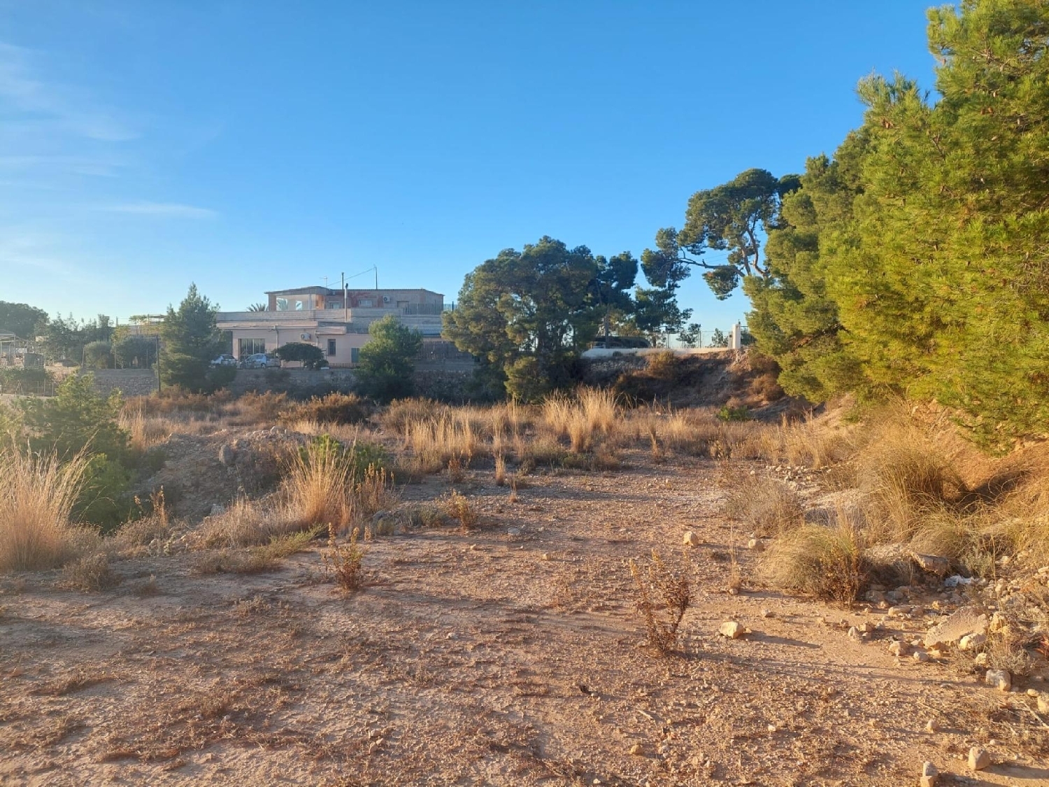  till salu tomt Rincón De Los Pablos Baix Vinalopó 6