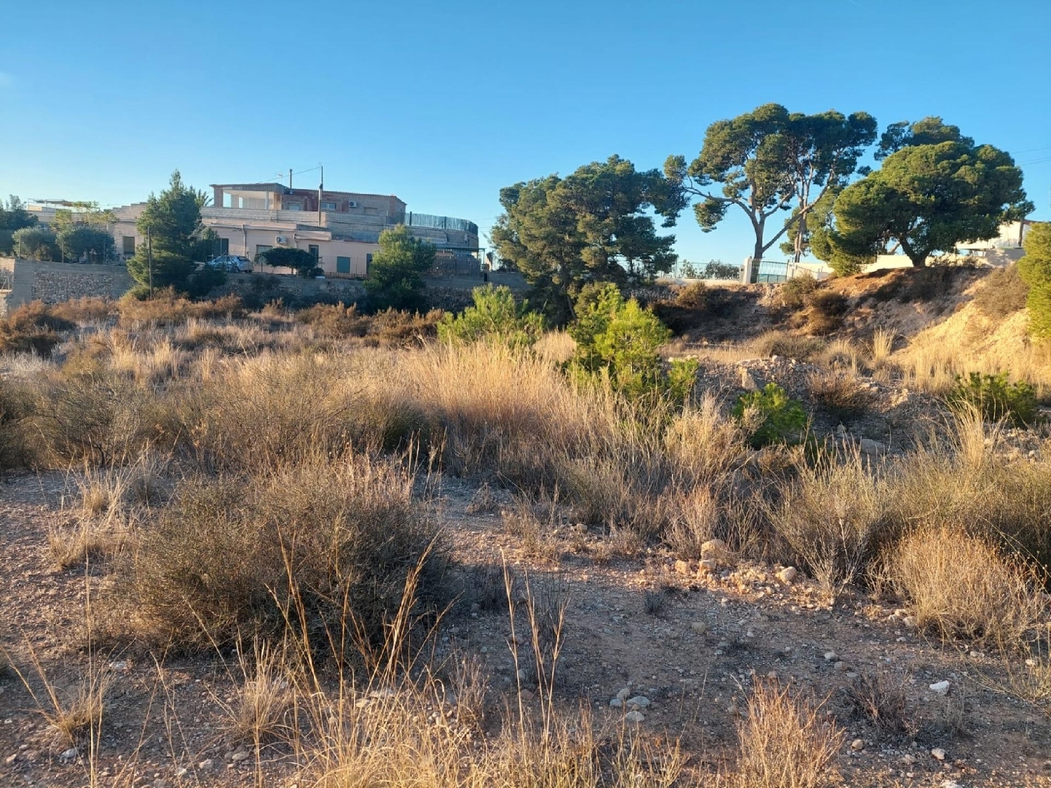 till salu tomt Rincón De Los Pablos Baix Vinalopó 3