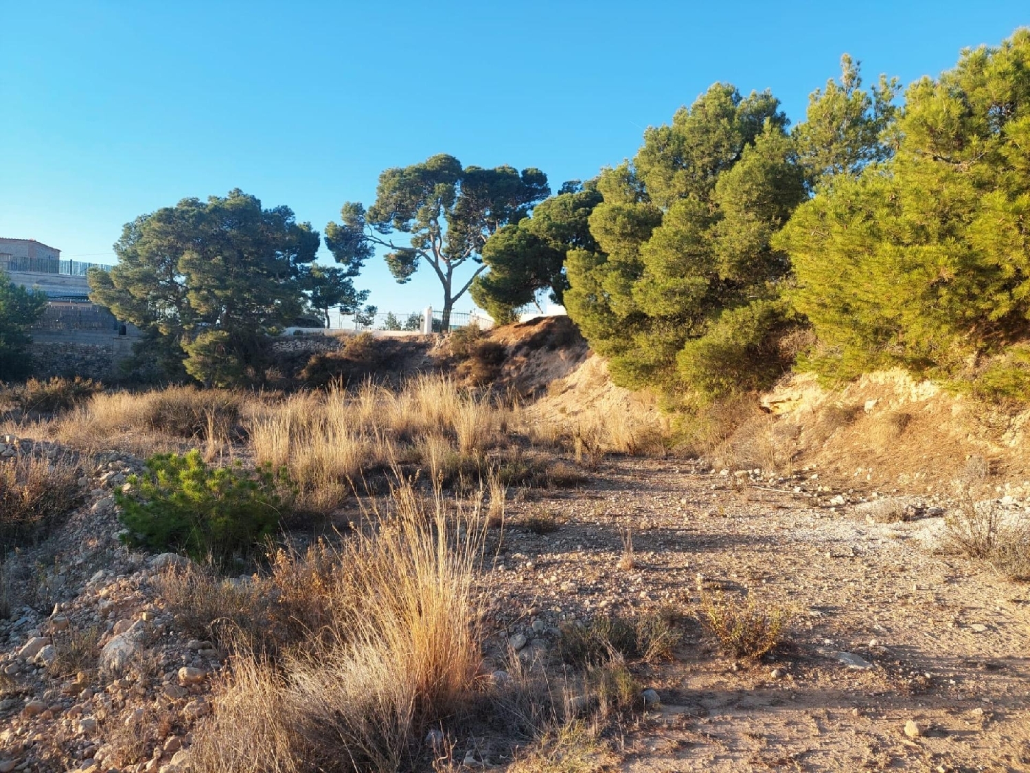  till salu tomt Rincón De Los Pablos Baix Vinalopó 5