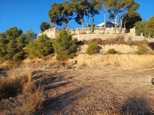 Rincón De Los Pablos Baix Vinalopó tomt foto 6256333