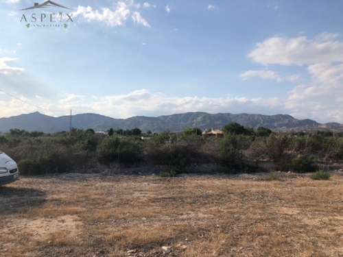 Rincón De Los Pablos Baix Vinalopó tomt foto 6226761
