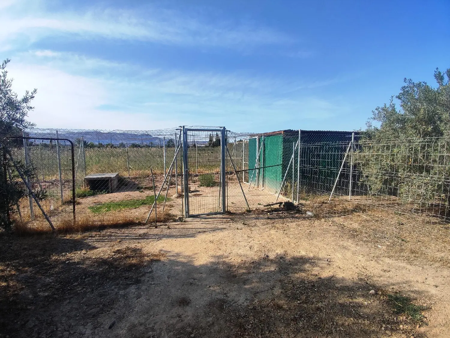  till salu tomt Crevillent Baix Vinalopó 7