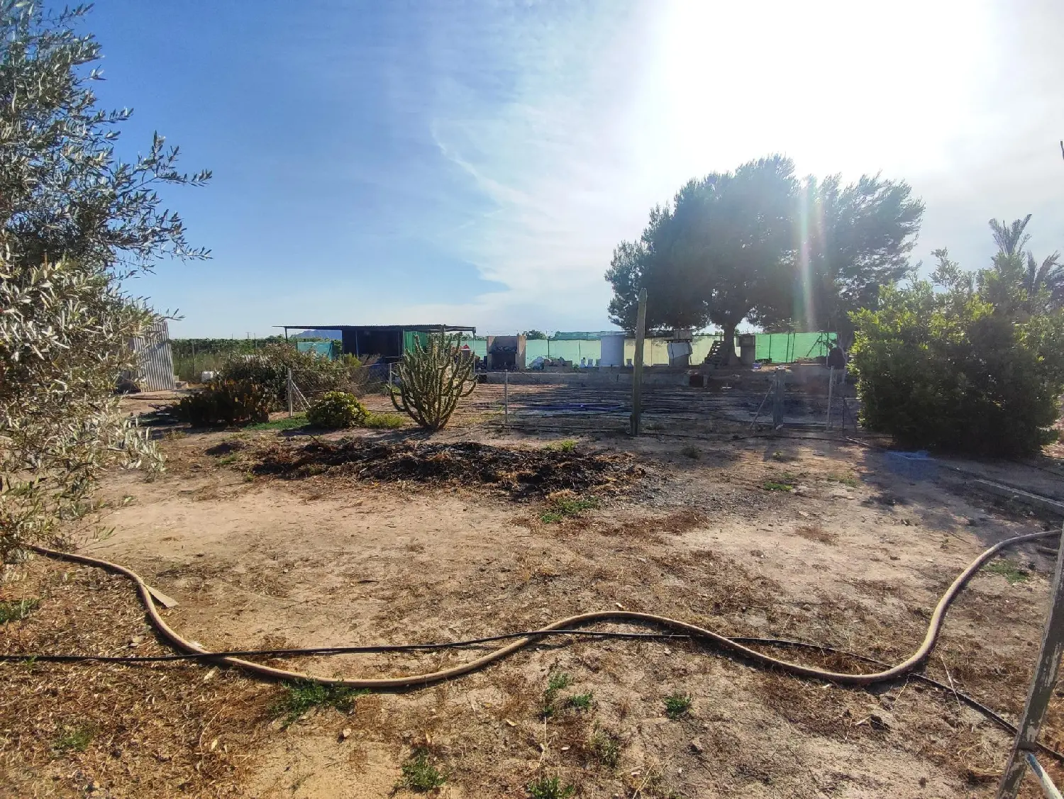  till salu tomt Crevillent Baix Vinalopó 4