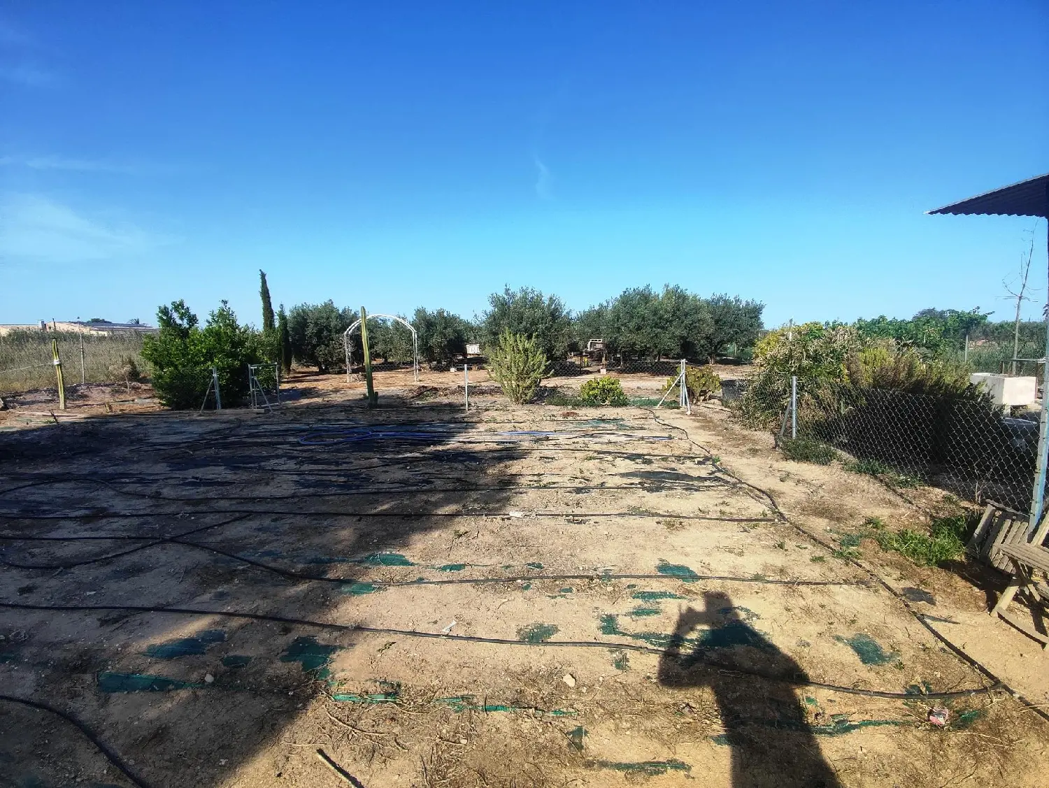  till salu tomt Crevillent Baix Vinalopó 5