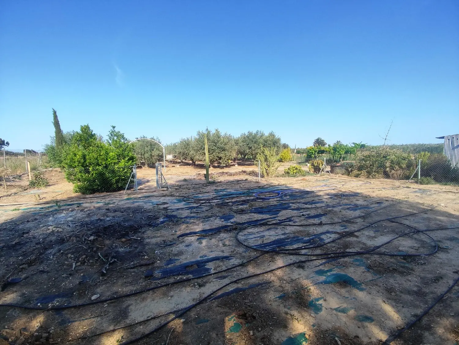  till salu tomt Crevillent Baix Vinalopó 6