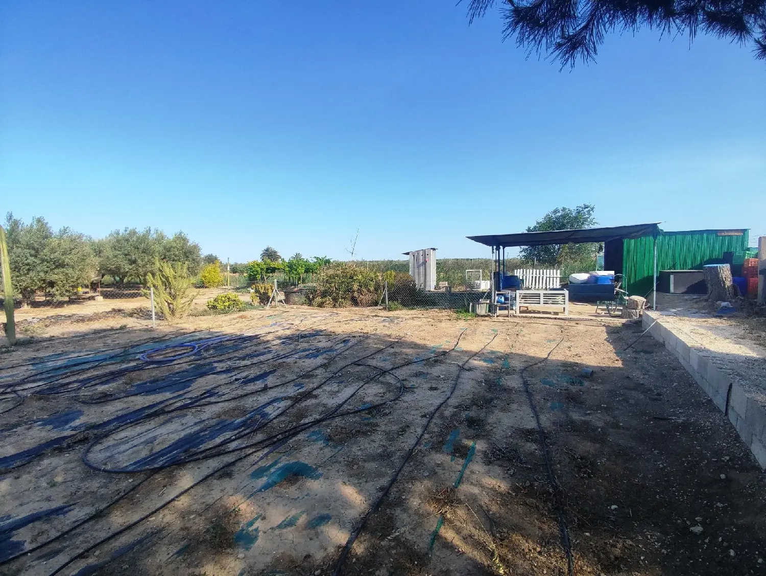 till salu tomt Crevillent Baix Vinalopó 3