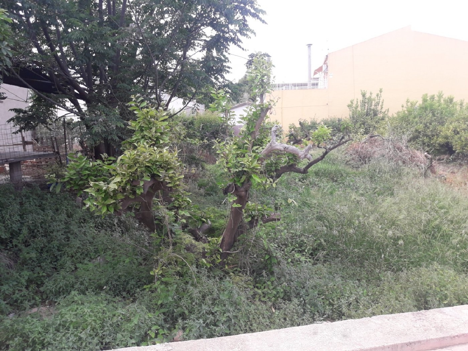  till salu tomt Rincón De Seca Huerta De Murcia 6
